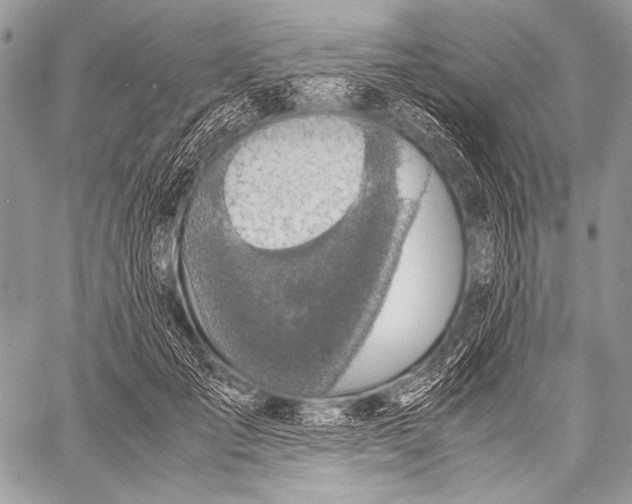 X0000057560701200510141349