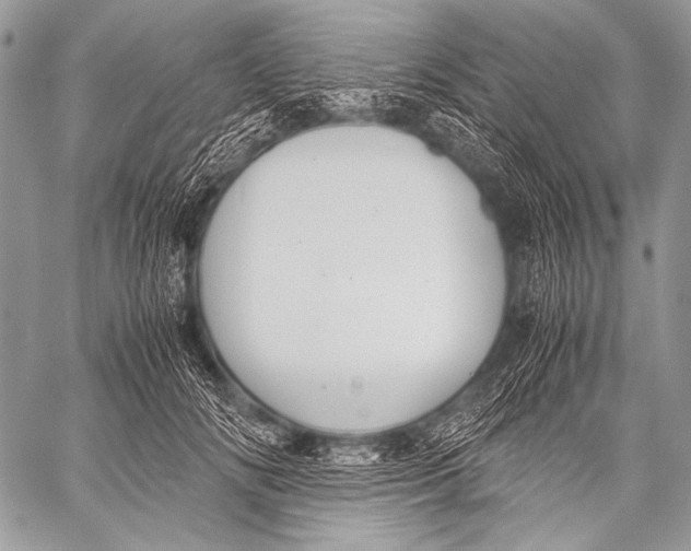 X0000057560702200510141349