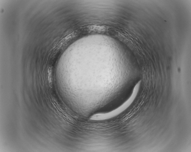 X0000057560708200510141349