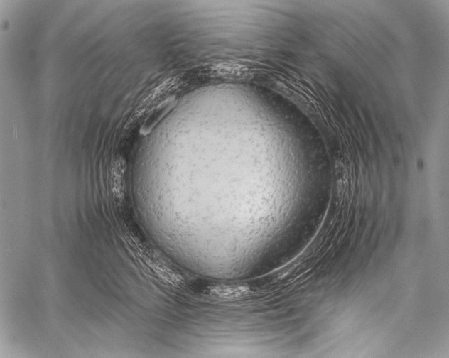 X0000057560712200510141349