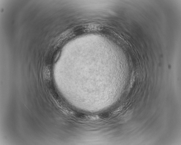 X0000057560715200510141348