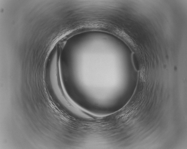 X0000057560724200510141348