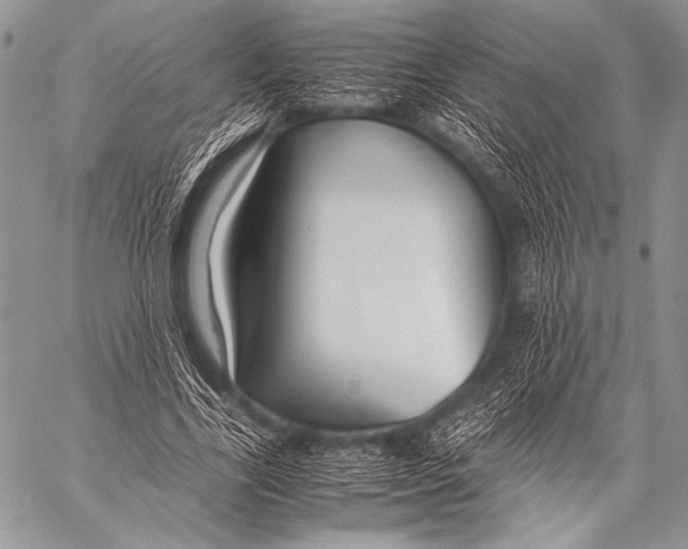 X0000057560731200510141348