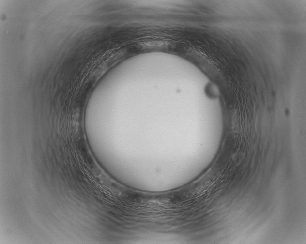 X0000057560737200510141348