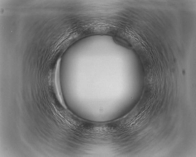 X0000057560744200510141348