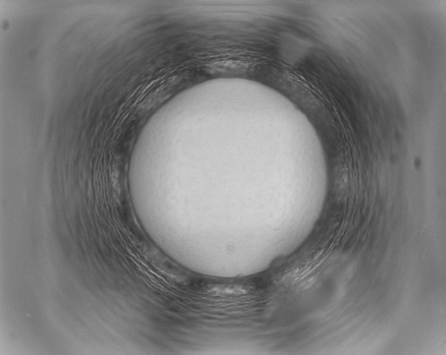 X0000057560749200510141348