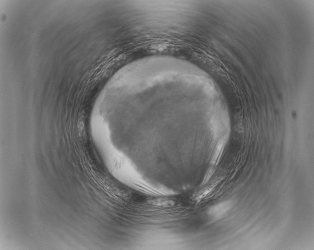X0000057560754200510141348