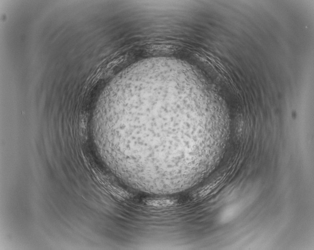 X0000057560759200510141348