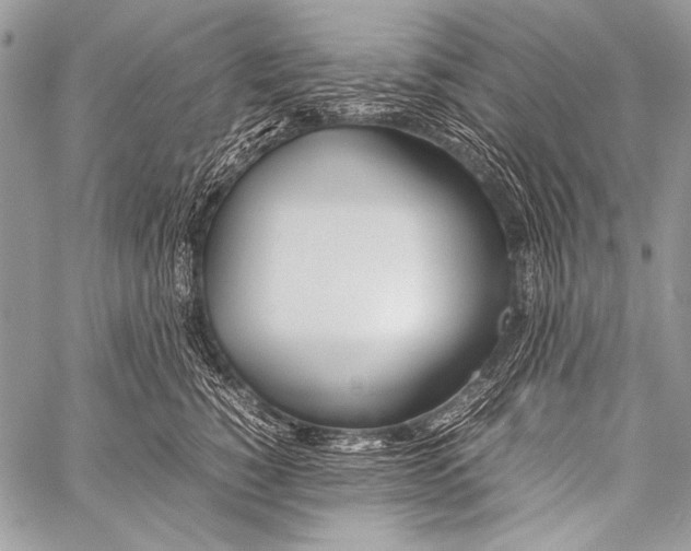 X0000057560760200510141348