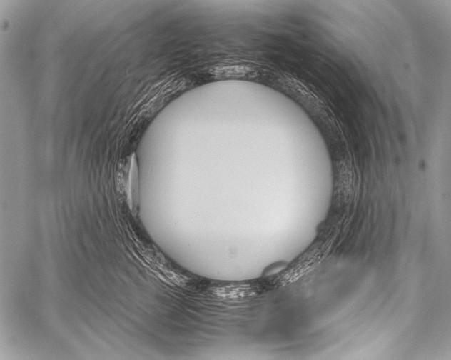 X0000057560761200510141348