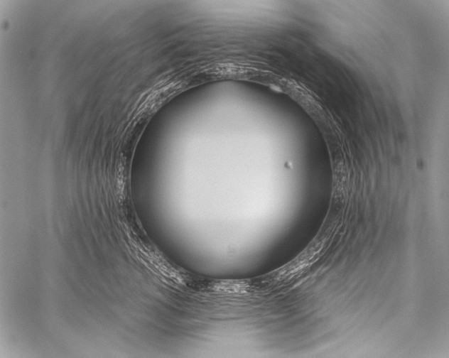 X0000057560762200510141348