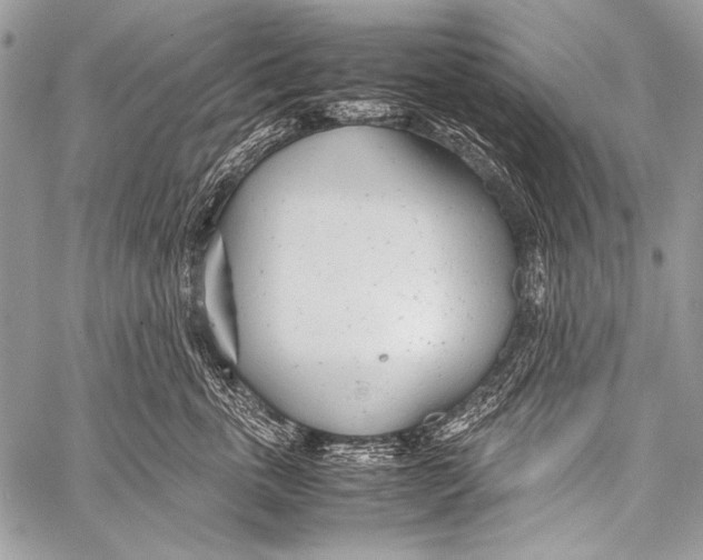 X0000057560763200510141348