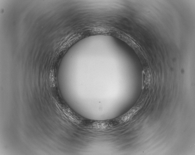 X0000057560764200510141348