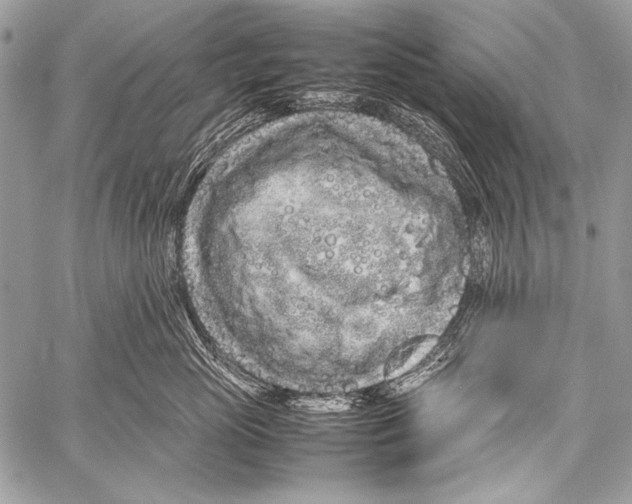 X0000057560765200510141348