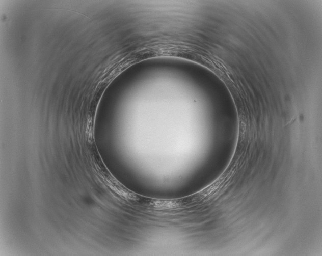 X0000057560766200510141348