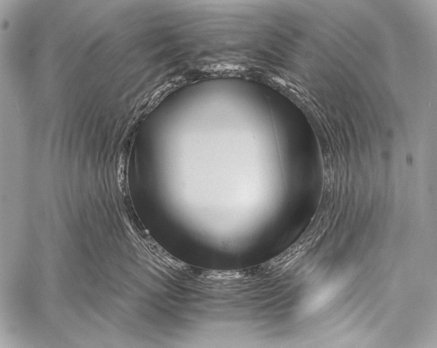 X0000057560767200510141348