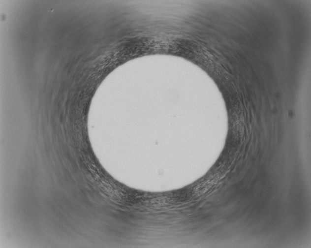 X0000057560769200510141348