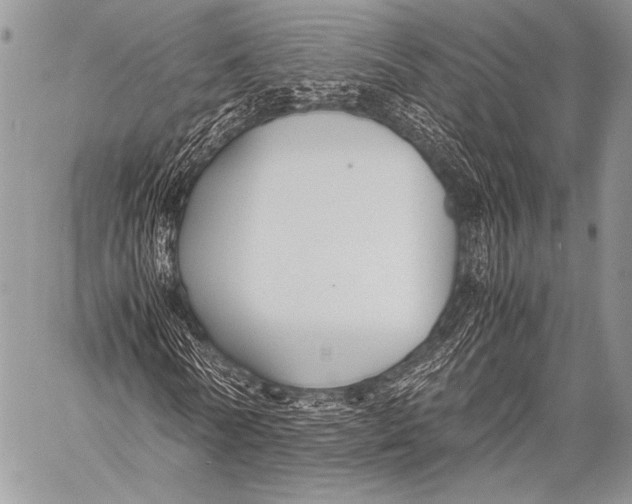 X0000057560770200510141348