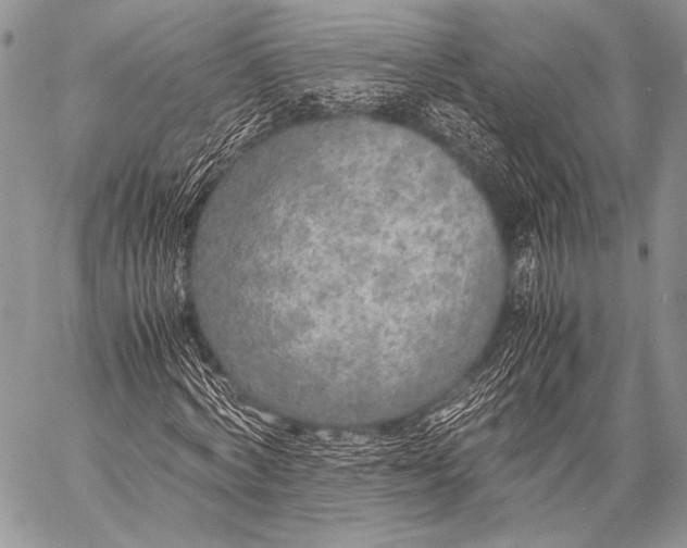X0000057560772200510141348