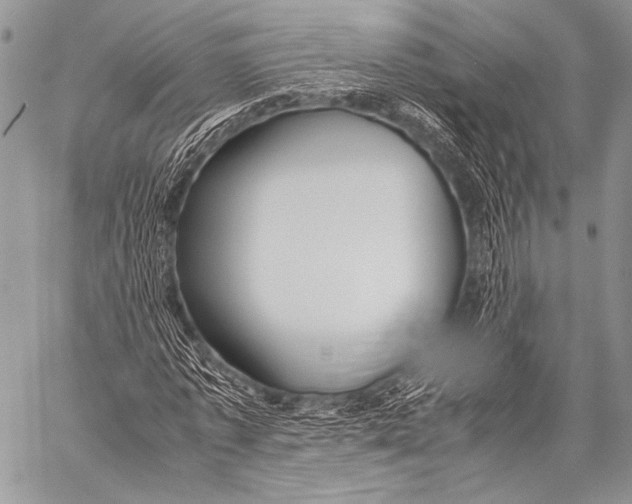 X0000057560773200510141348