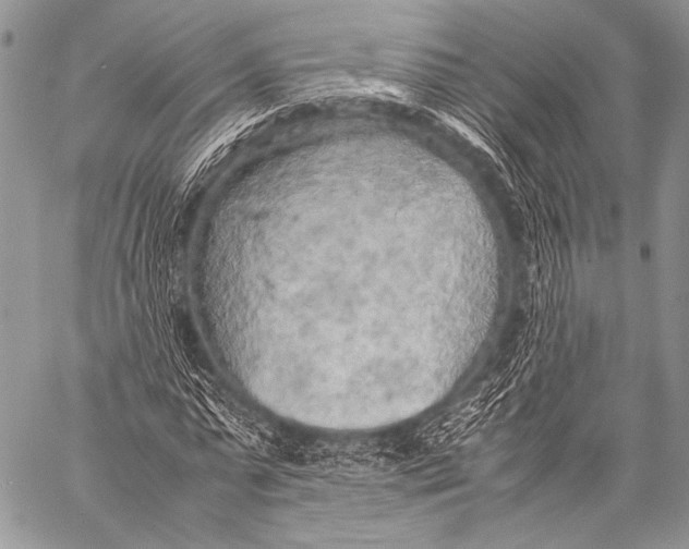 X0000057560775200510141347