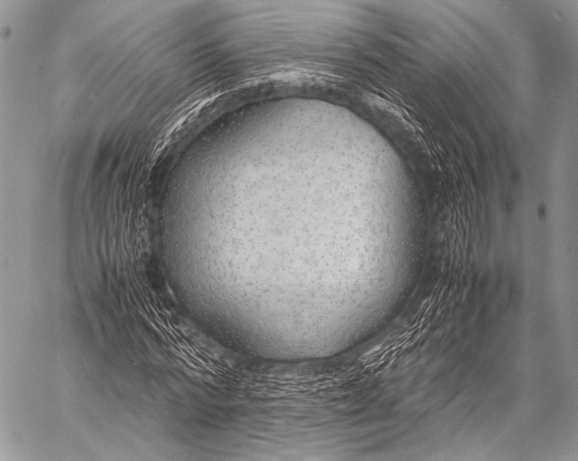 X0000057560776200510141347