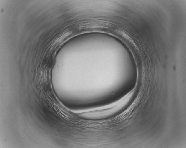 X0000057560777200510141347