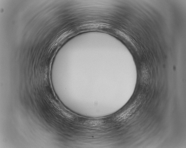 X0000057560778200510141347