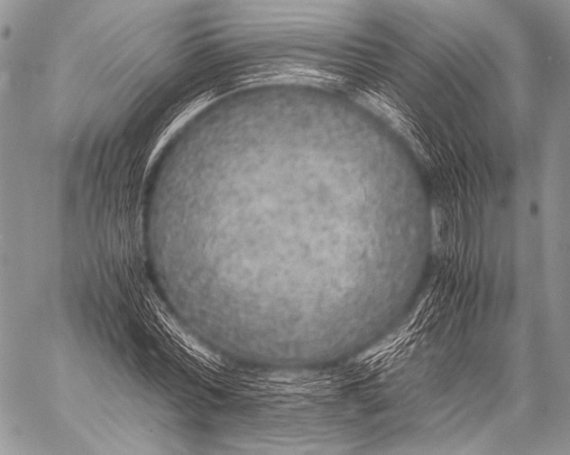 X0000057560780200510141347