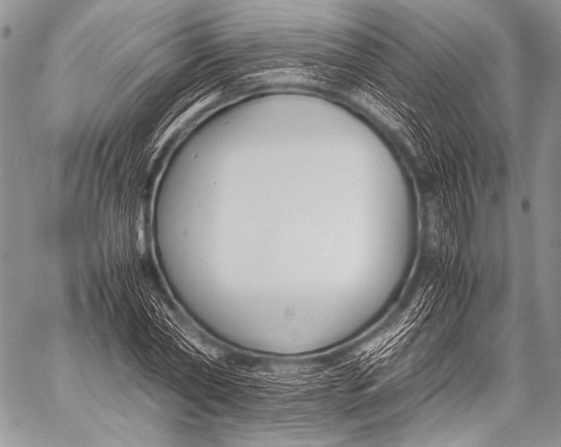X0000057560782200510141347
