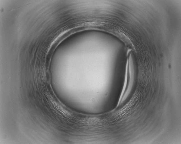 X0000057560784200510141347