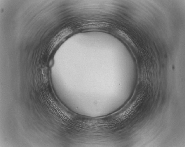 X0000057560786200510141347