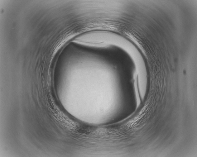 X0000057560787200510141347