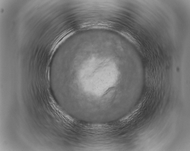 X0000057560790200510141347