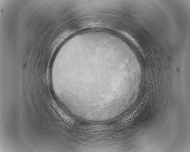 X0000057560791200510141347