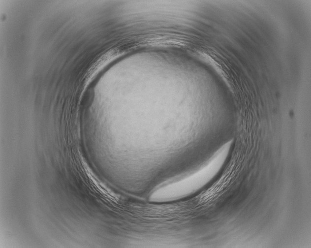 X0000057560795200510141347