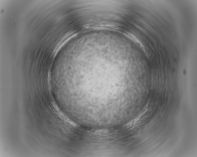 X0000057560798200510141347