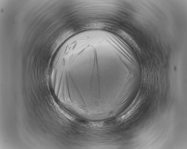 X0000057560802200510141347