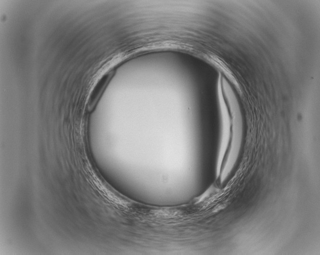 X0000057560805200510141347