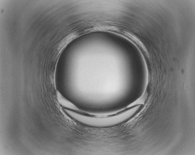 X0000057560809200510141347