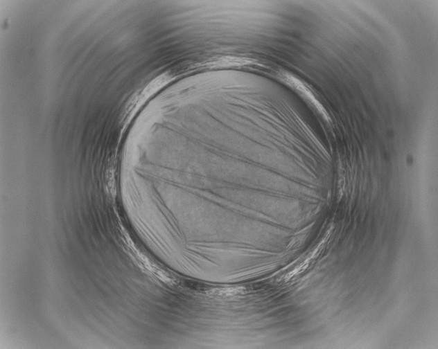 X0000057560810200510141347
