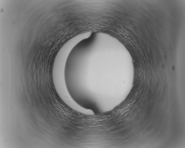 X0000057560818200510141346
