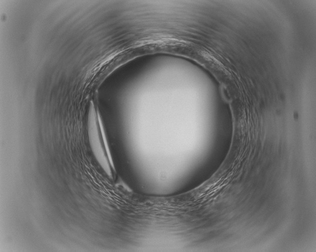 X0000057560822200510141346