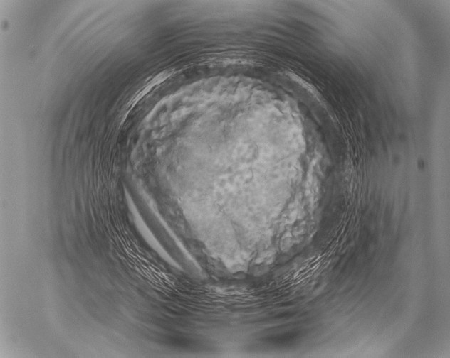 X0000057560823200510141346