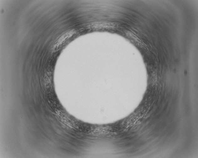 X0000057560824200510141346