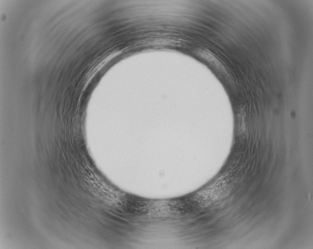 X0000057560828200510141346