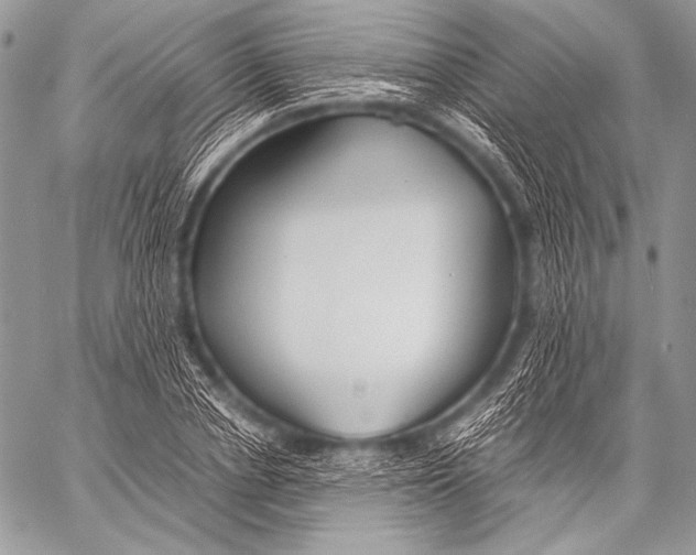 X0000057560834200510141346