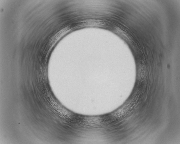 X0000057560836200510141346