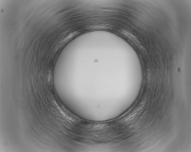 X0000057560841200510141346