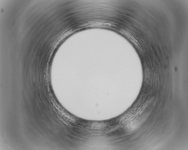 X0000057560848200510141347